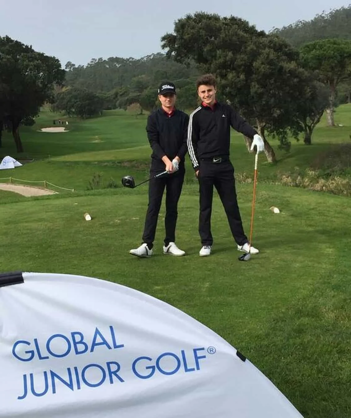 compressed_The Gregory Brothers